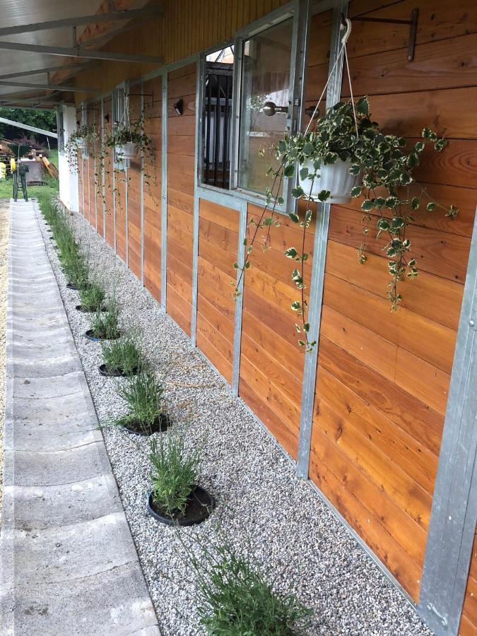 Karam Vendeghaz Es Lakasetterem Hotel Nagybajcs Exterior foto